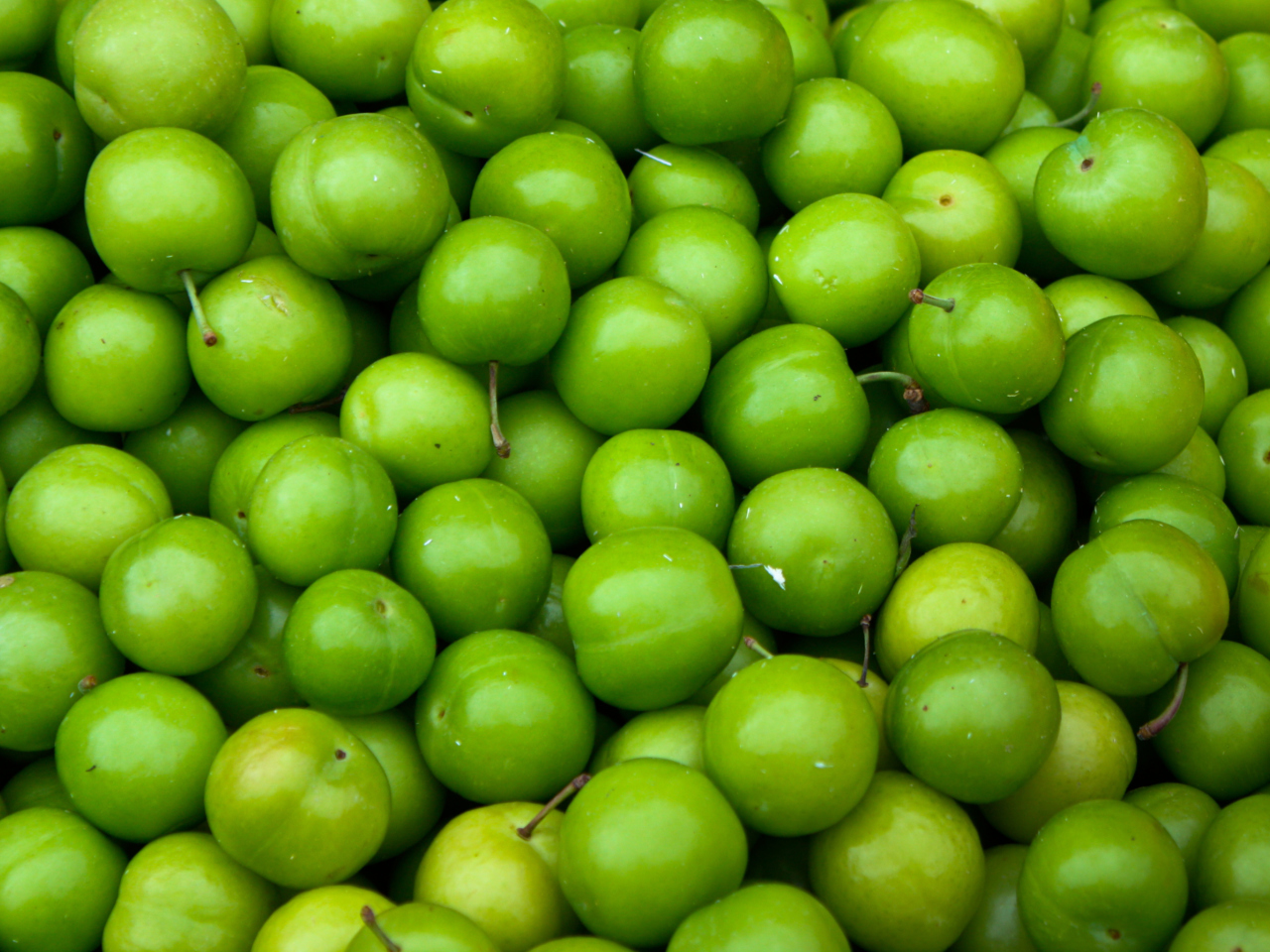 Обои Green Apples 1280x960