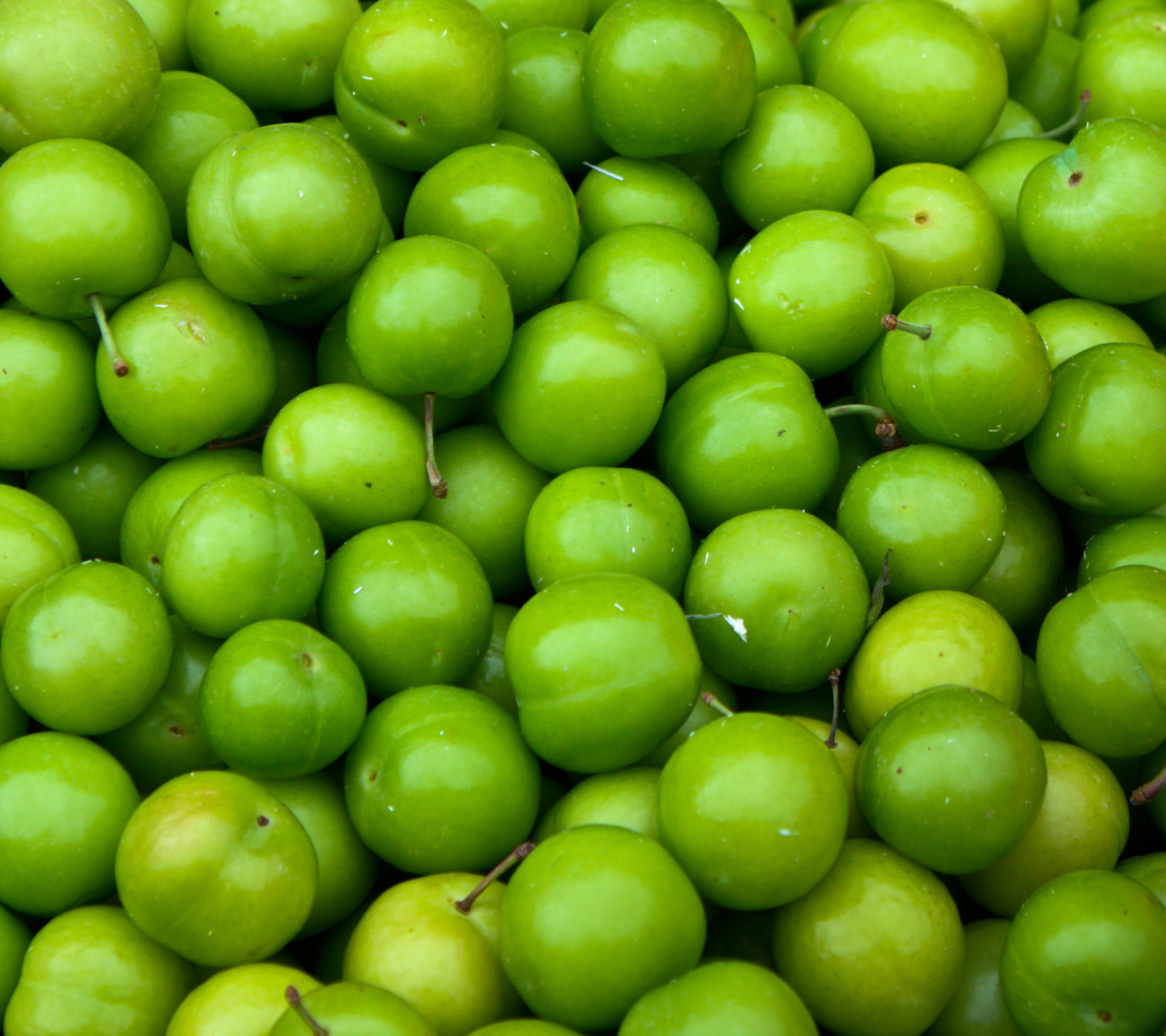 Sfondi Green Apples 1440x1280