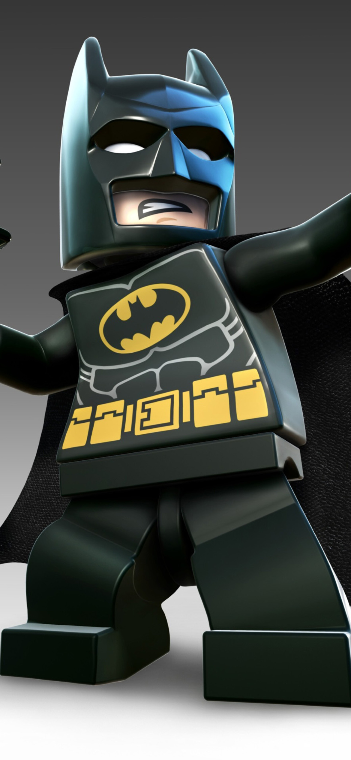 Super Heroes, Lego Batman wallpaper 1170x2532