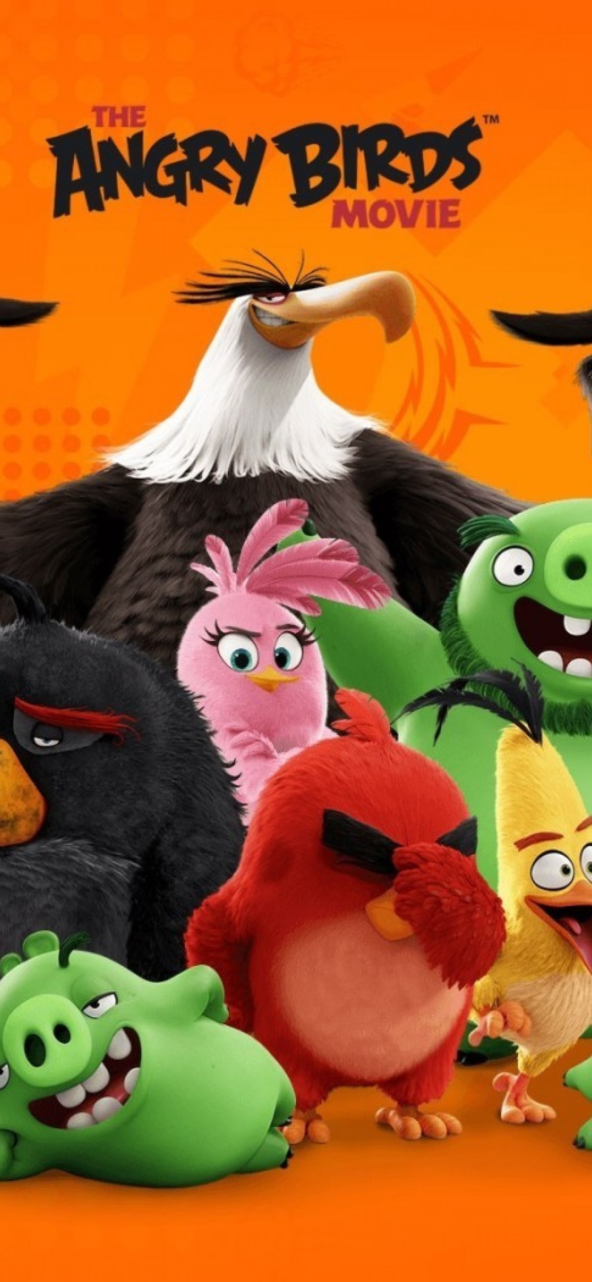 Das Angry Birds the Movie Release by Rovio Wallpaper 1170x2532