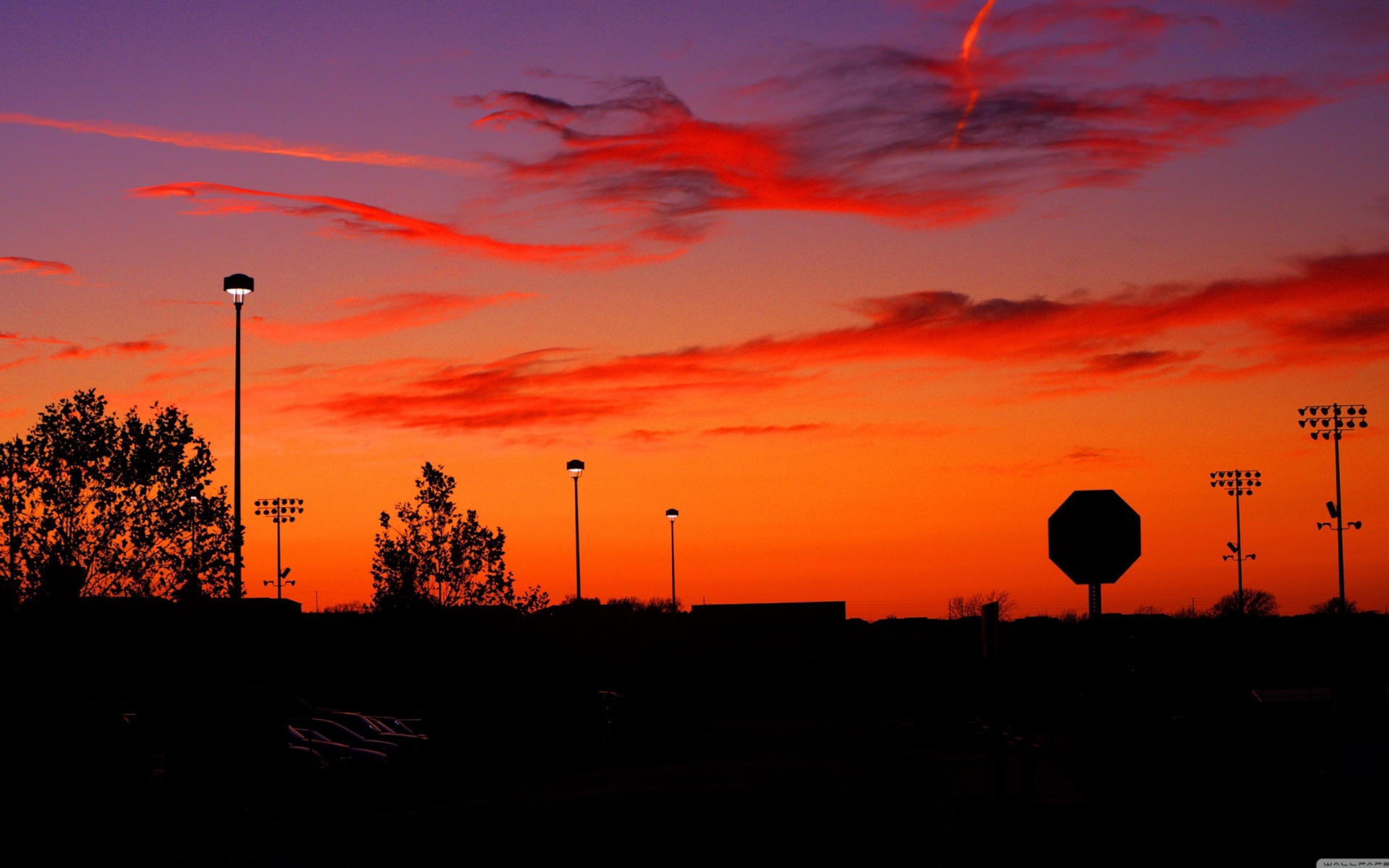 Orange Sunset wallpaper 1920x1200