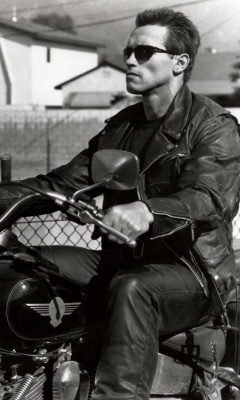 Terminator 2 Arnold Schwarzenegger screenshot #1 240x400