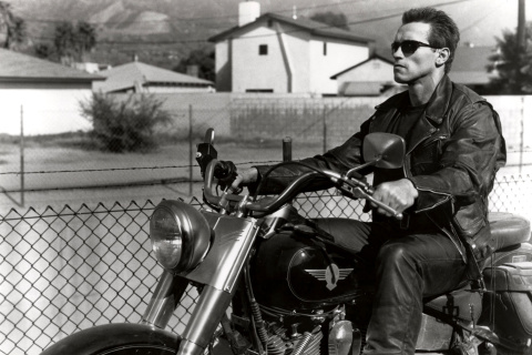 Das Terminator 2 Arnold Schwarzenegger Wallpaper 480x320