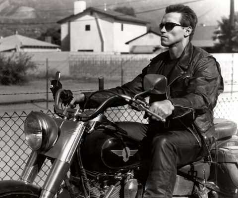 Screenshot №1 pro téma Terminator 2 Arnold Schwarzenegger 480x400