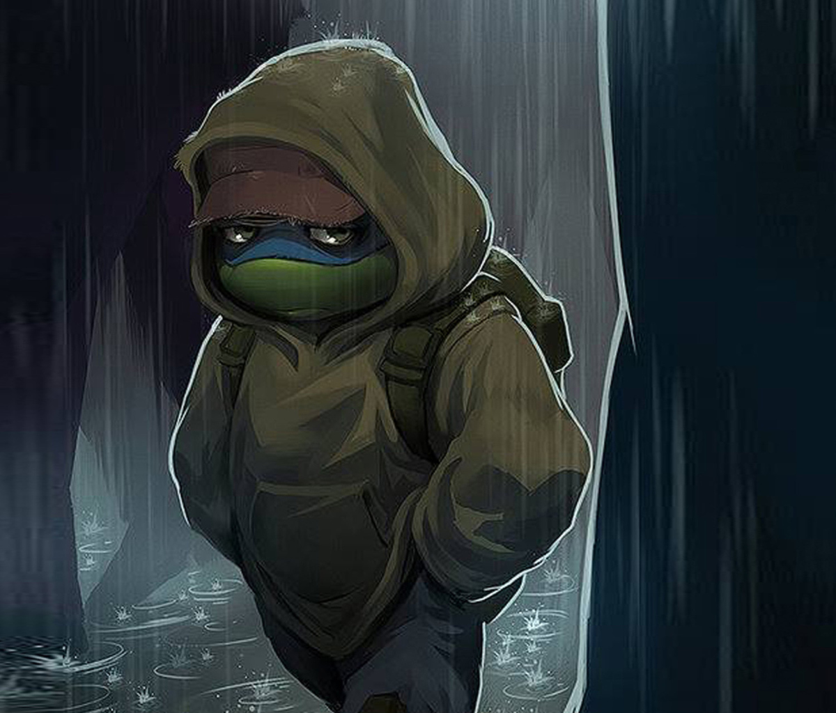 Fondo de pantalla Sad Turtle 1200x1024