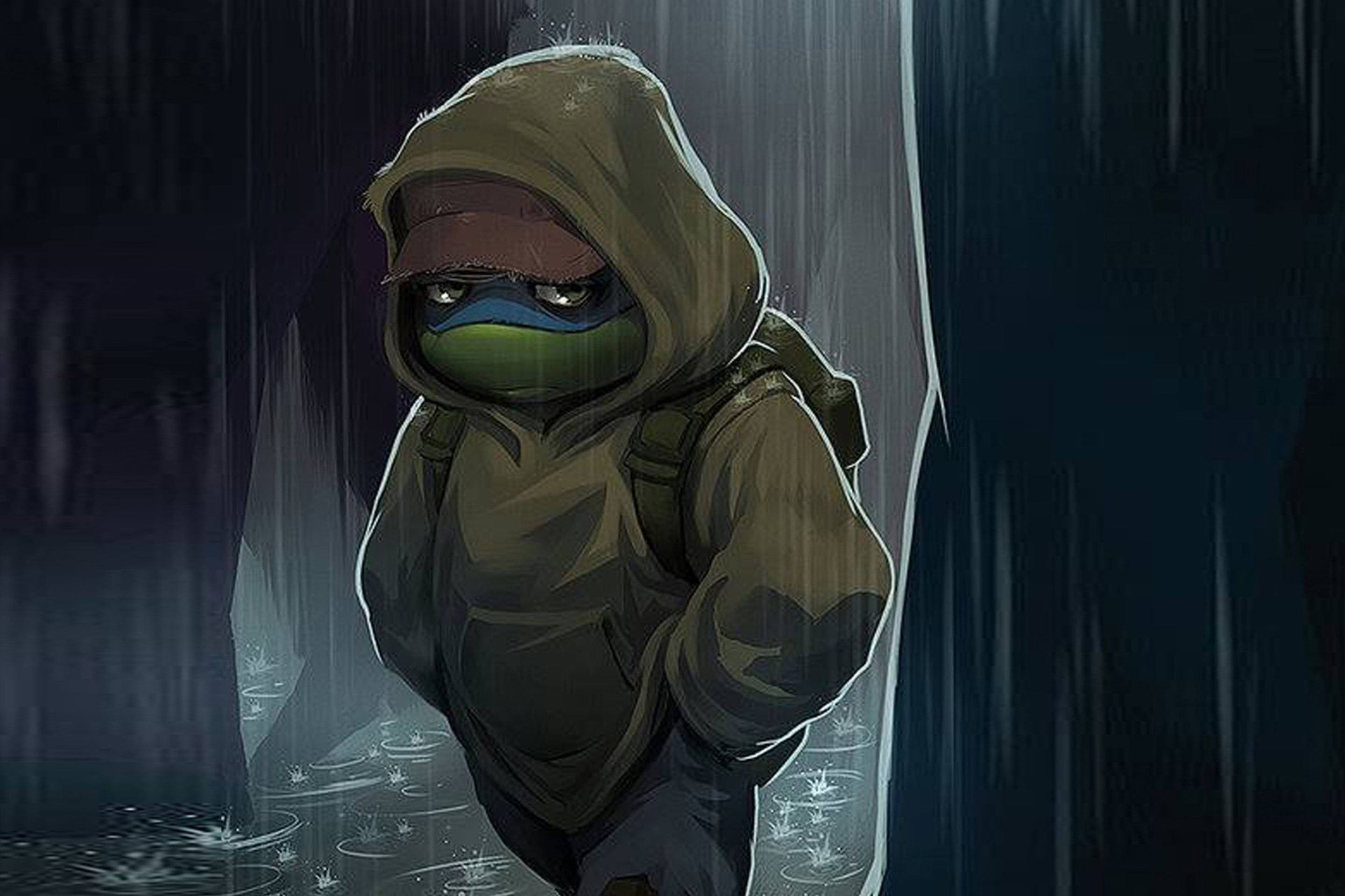 Fondo de pantalla Sad Turtle 2880x1920