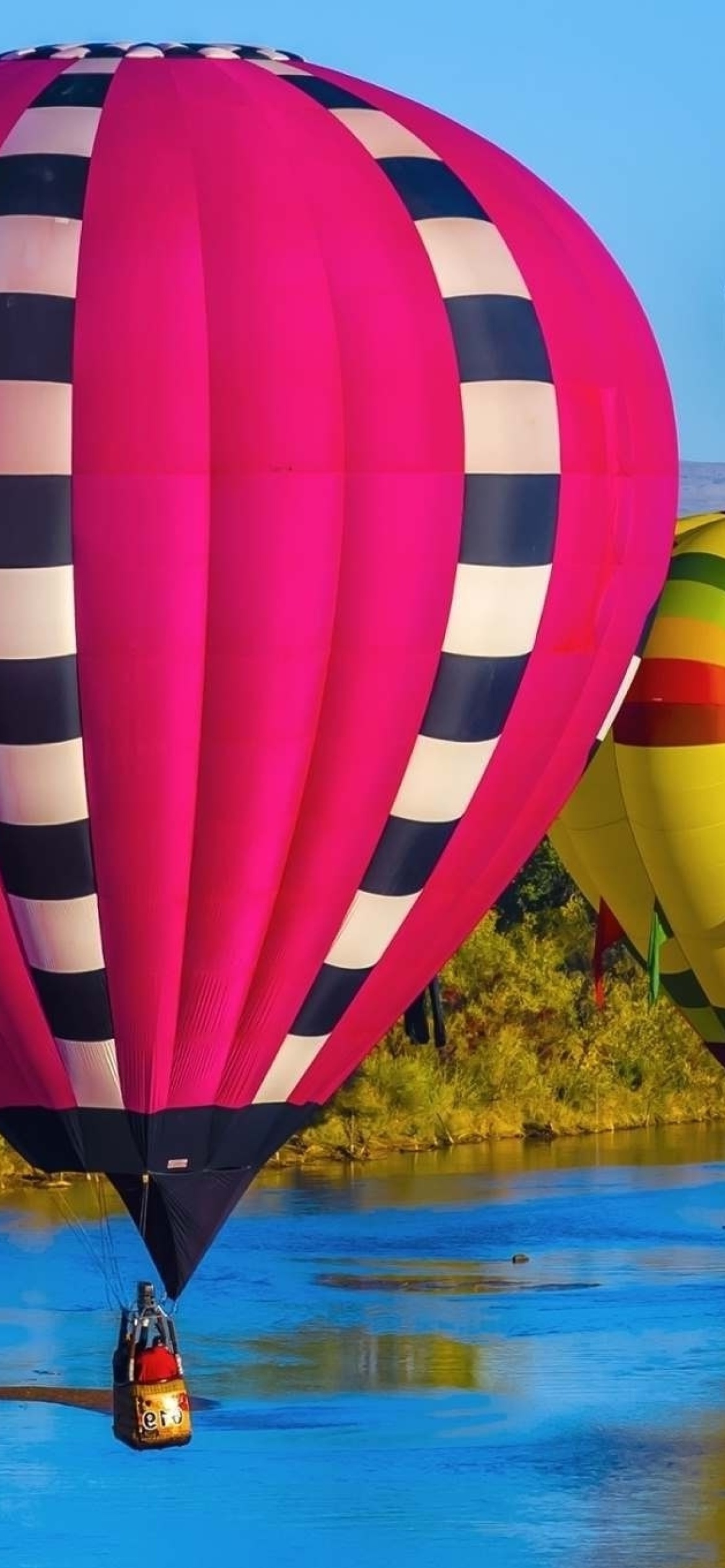 Sfondi Colorful Air Balloons 1170x2532