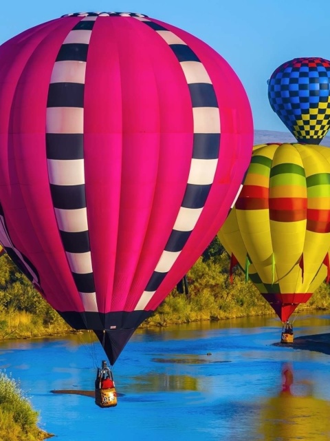 Обои Colorful Air Balloons 480x640