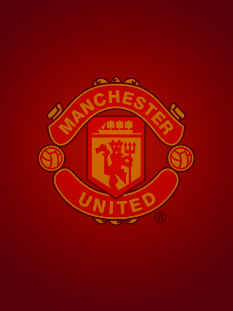 Fondo de pantalla Manchester United 480x640