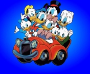 Sfondi Donald And Daffy Duck 176x144