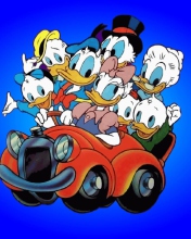 Donald And Daffy Duck screenshot #1 176x220
