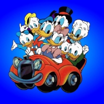 Sfondi Donald And Daffy Duck 208x208