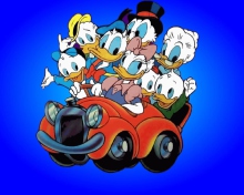 Das Donald And Daffy Duck Wallpaper 220x176