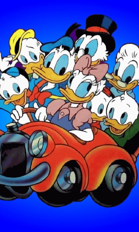 Обои Donald And Daffy Duck 480x800