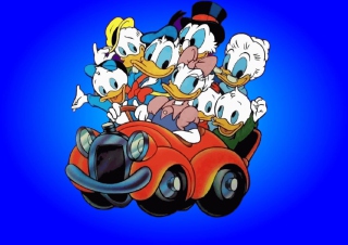 Donald And Daffy Duck Wallpaper for Android, iPhone and iPad