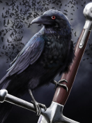 Das Black Crow Wallpaper 132x176
