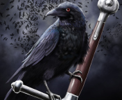 Black Crow screenshot #1 176x144