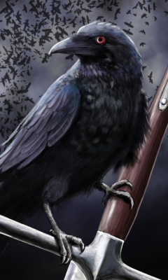 Sfondi Black Crow 240x400