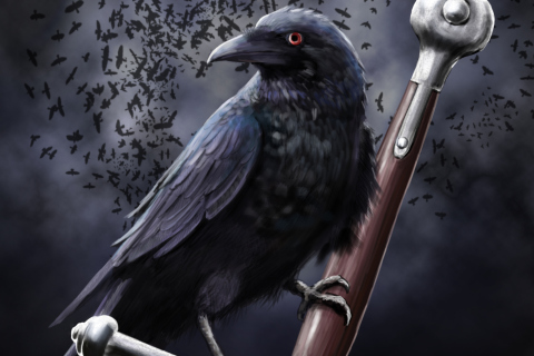 Black Crow wallpaper 480x320