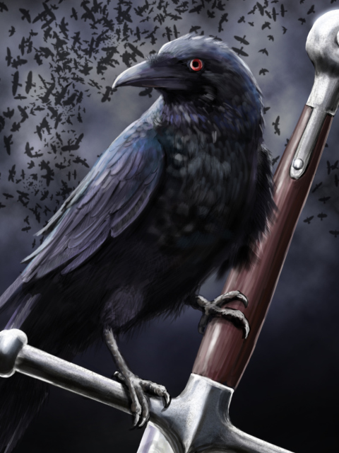 Das Black Crow Wallpaper 480x640