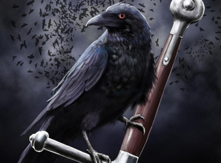 Black Crow Wallpaper for Android, iPhone and iPad