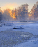 Screenshot №1 pro téma Frosty February 128x160