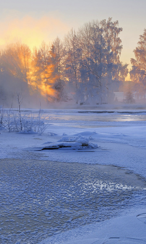 Frosty February wallpaper 480x800