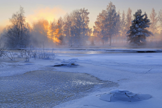Frosty February - Obrázkek zdarma pro 1024x768