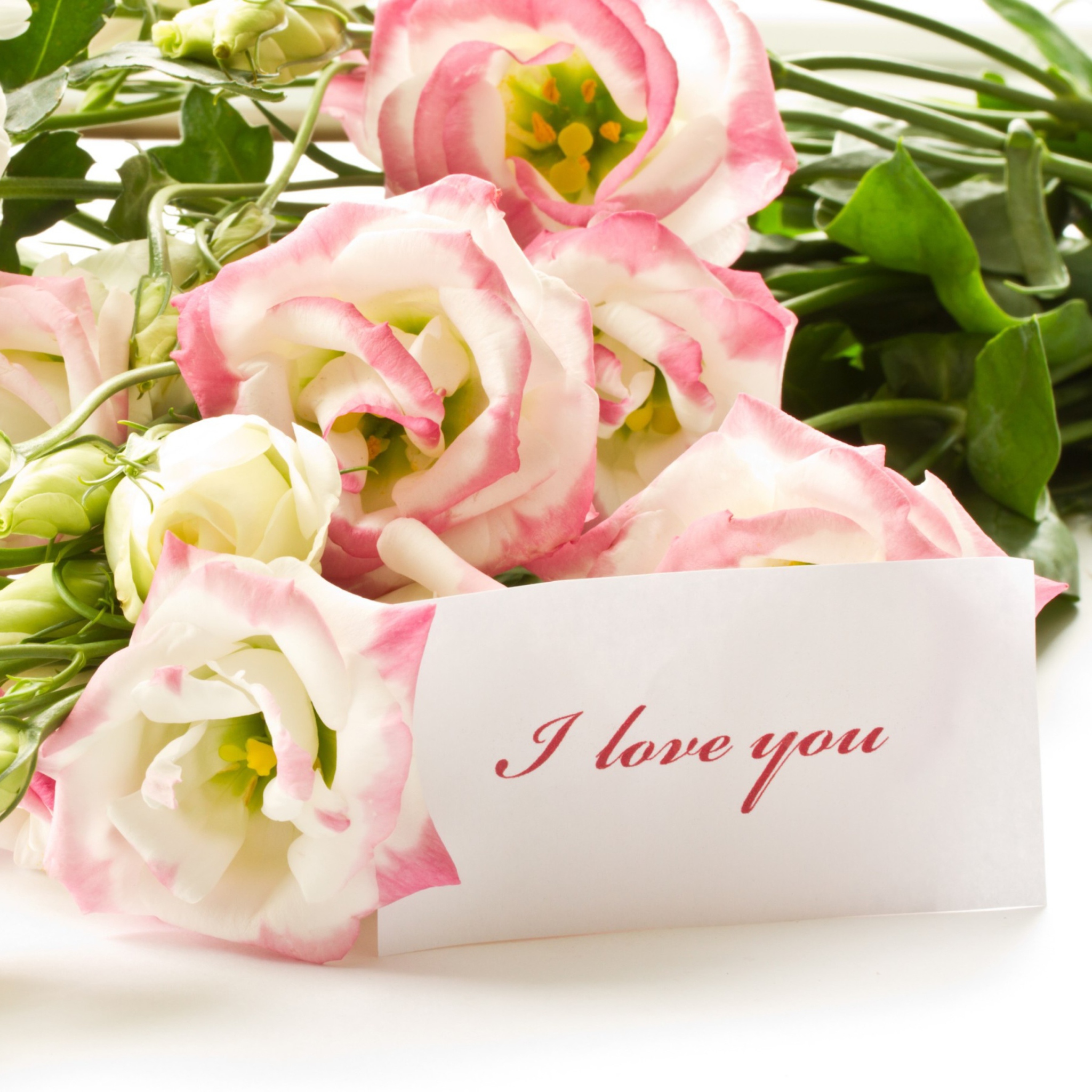 Fondo de pantalla I Love You Bouquet 2048x2048