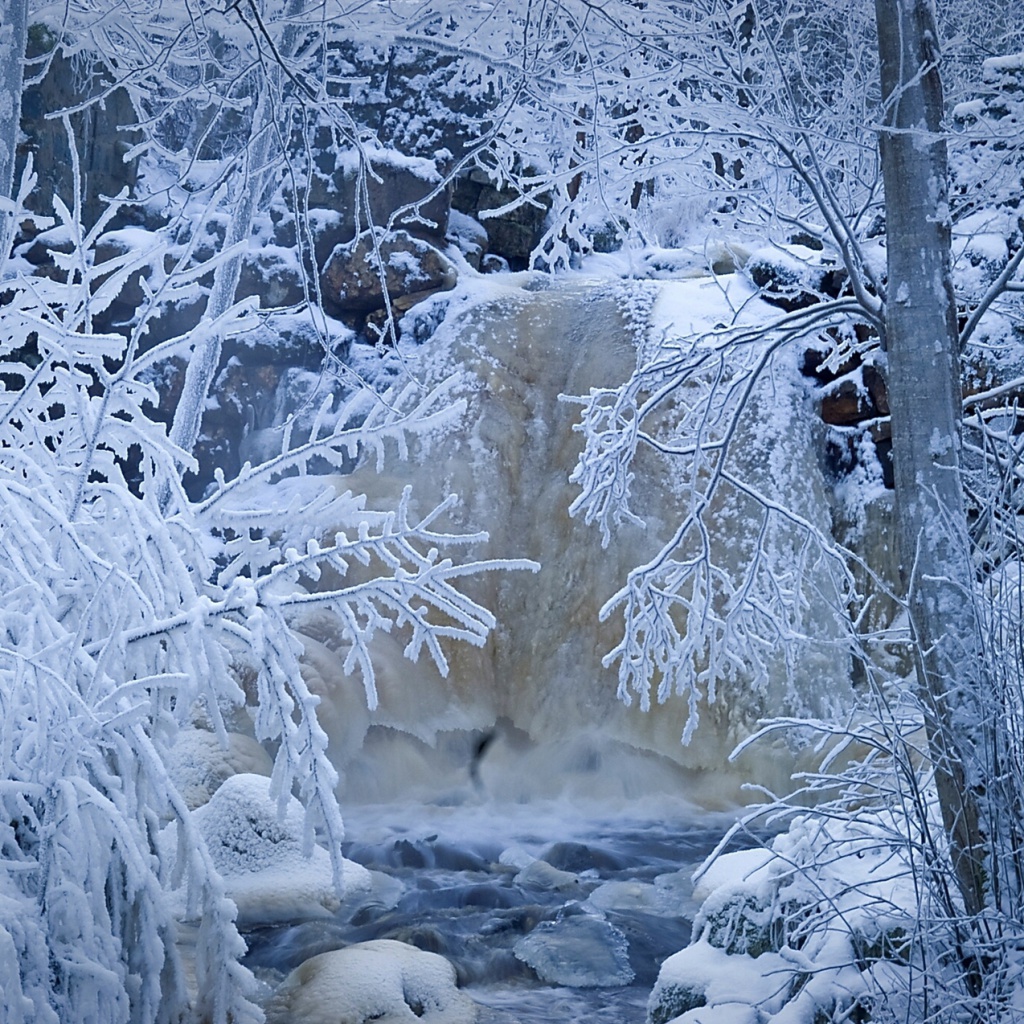 Das Winter in Norway Wallpaper 1024x1024