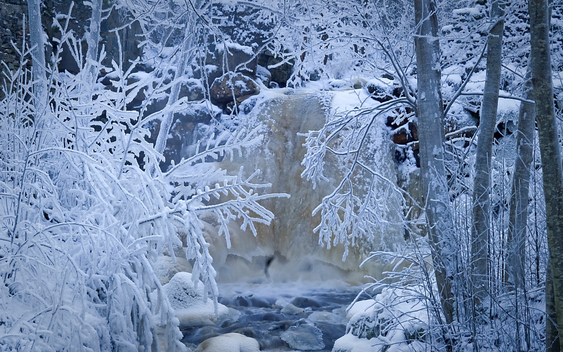 Winter in Norway wallpaper 1920x1200