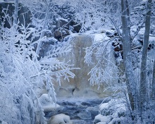 Winter in Norway wallpaper 220x176
