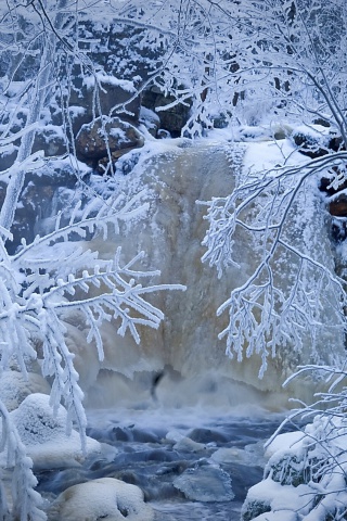 Screenshot №1 pro téma Winter in Norway 320x480