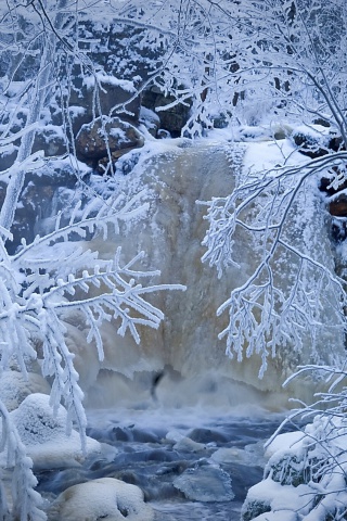 Das Winter in Norway Wallpaper 320x480