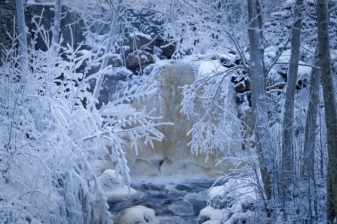 Обои Winter in Norway 480x320