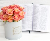 Sfondi Roses and Book 176x144