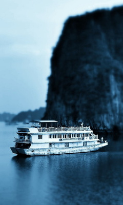 Sfondi Ha Long Bay in Vietnam 240x400