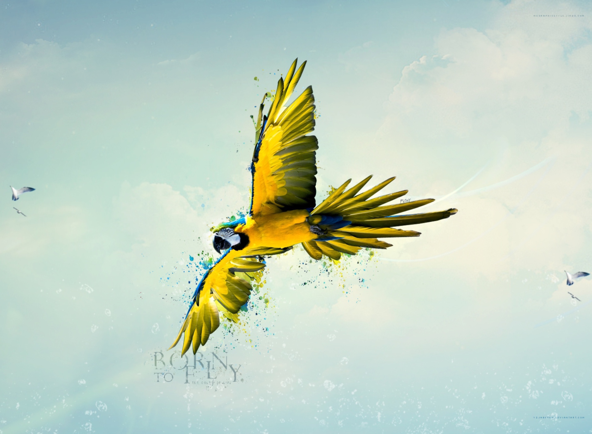 Born To Fly wallpaper 1920x1408
