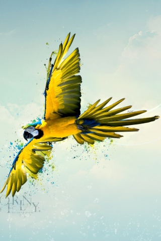 Born To Fly wallpaper 320x480