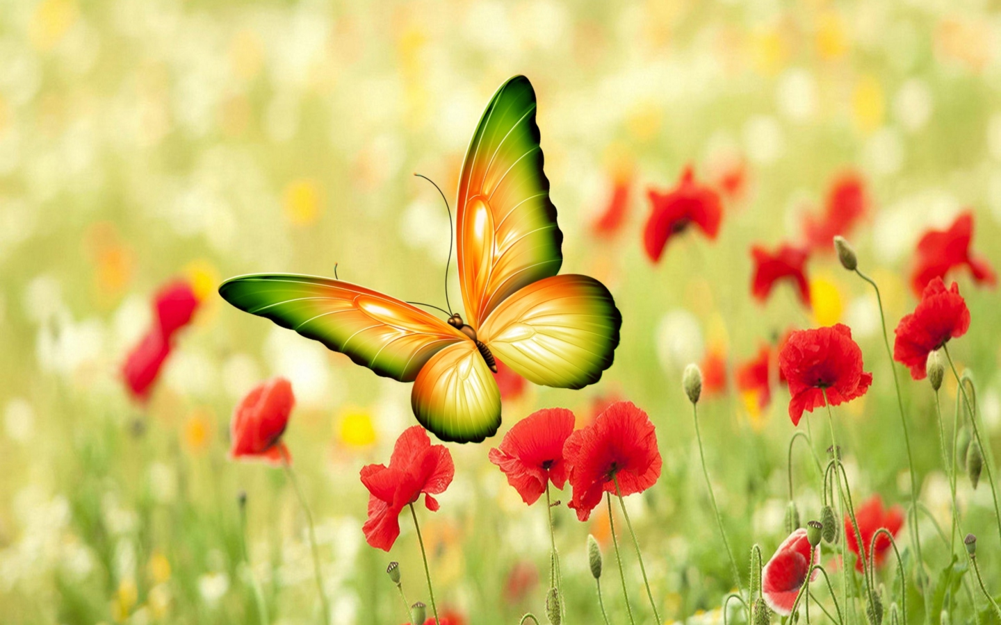 Fondo de pantalla Butterfly 1440x900