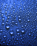 Das Blue Drops Wallpaper 128x160