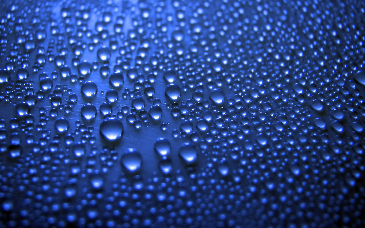 Das Blue Drops Wallpaper 1440x900