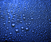 Blue Drops wallpaper 176x144