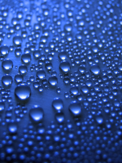 Das Blue Drops Wallpaper 240x320