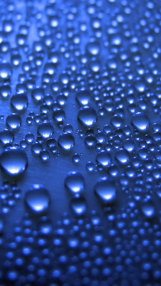 Das Blue Drops Wallpaper 640x1136