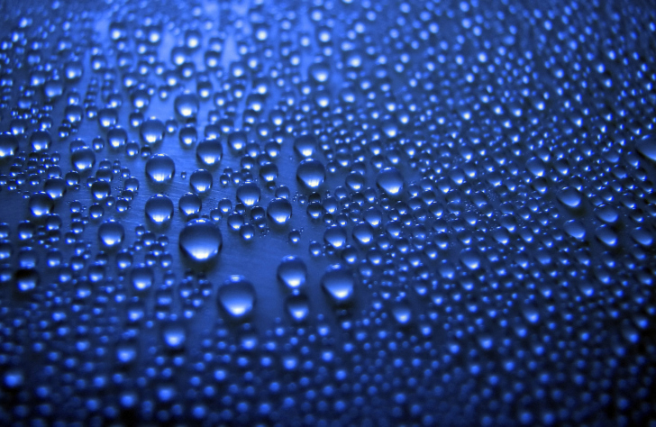 Blue Drops wallpaper