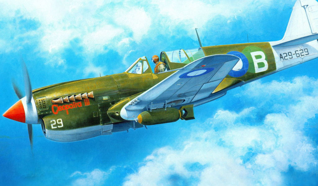 Screenshot №1 pro téma Curtiss P 40 Warhawk 1024x600