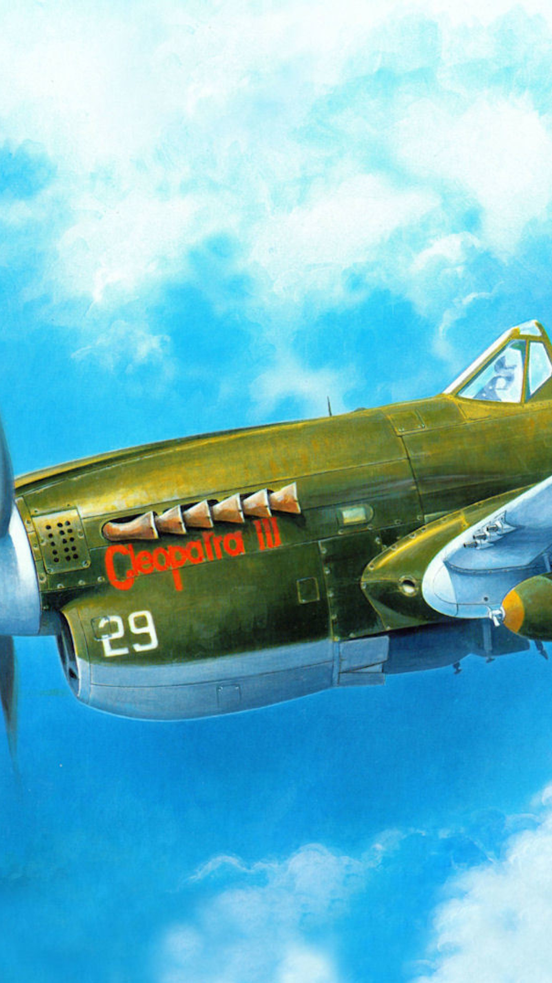 Fondo de pantalla Curtiss P 40 Warhawk 1080x1920