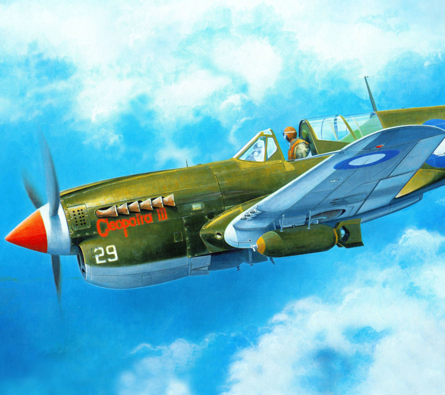 Screenshot №1 pro téma Curtiss P 40 Warhawk 1440x1280
