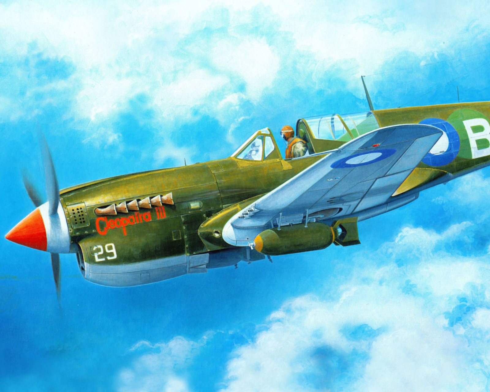 Das Curtiss P 40 Warhawk Wallpaper 1600x1280